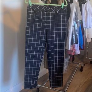 Zac & Rachel - Dress Pants